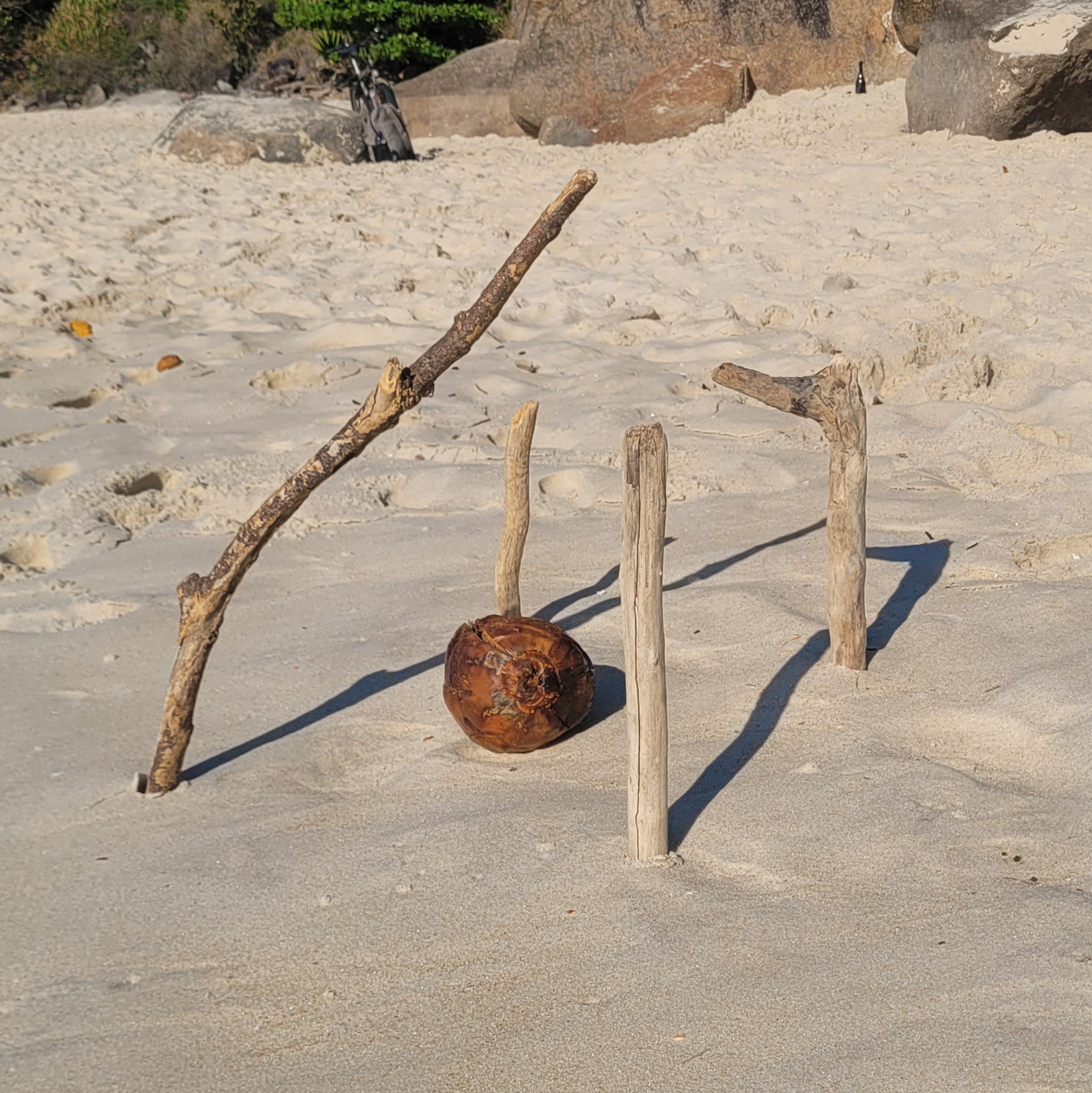 Shelter for Pillars / Shelter for Pilots