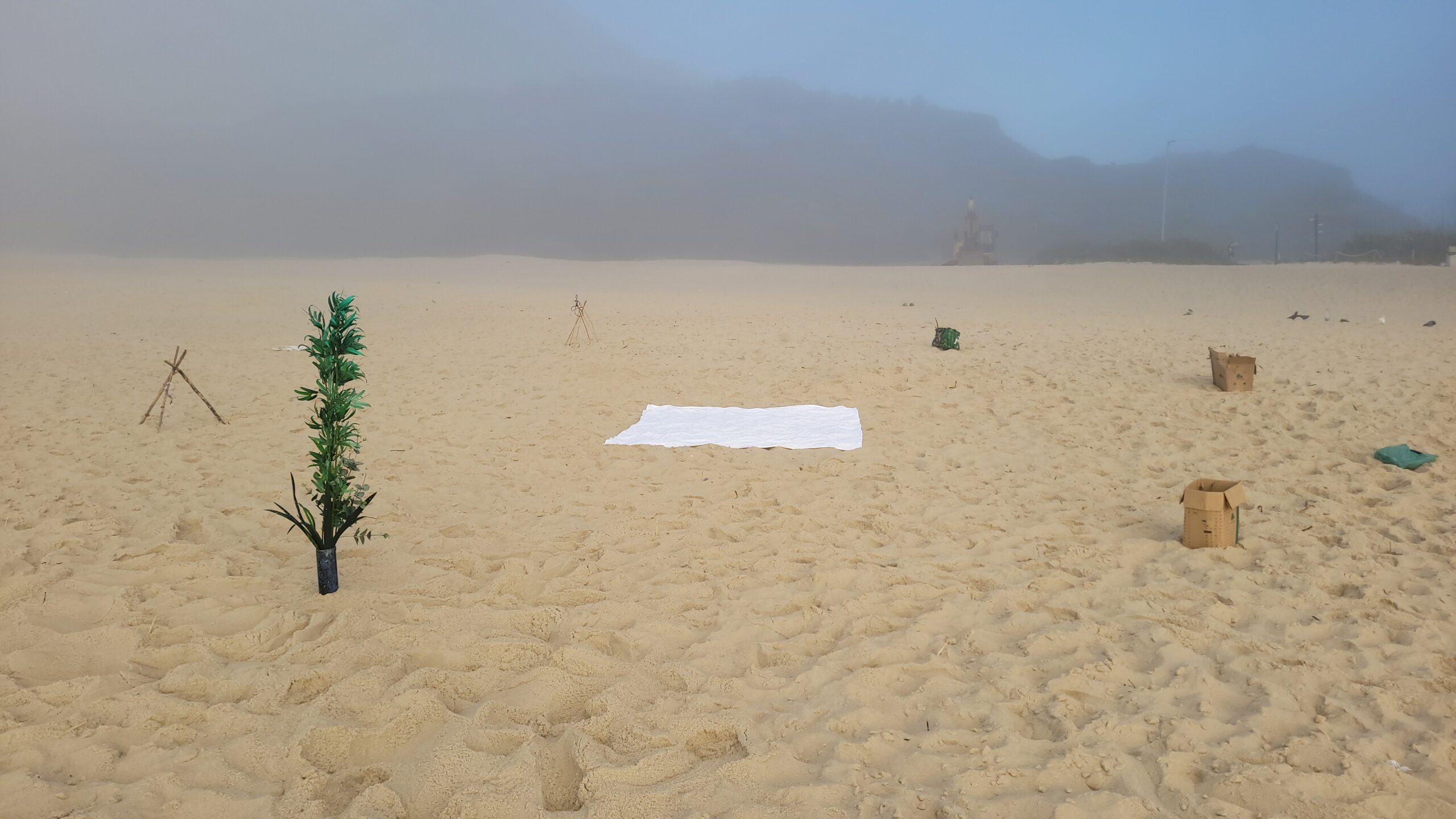 Fenômeno interlinguístico