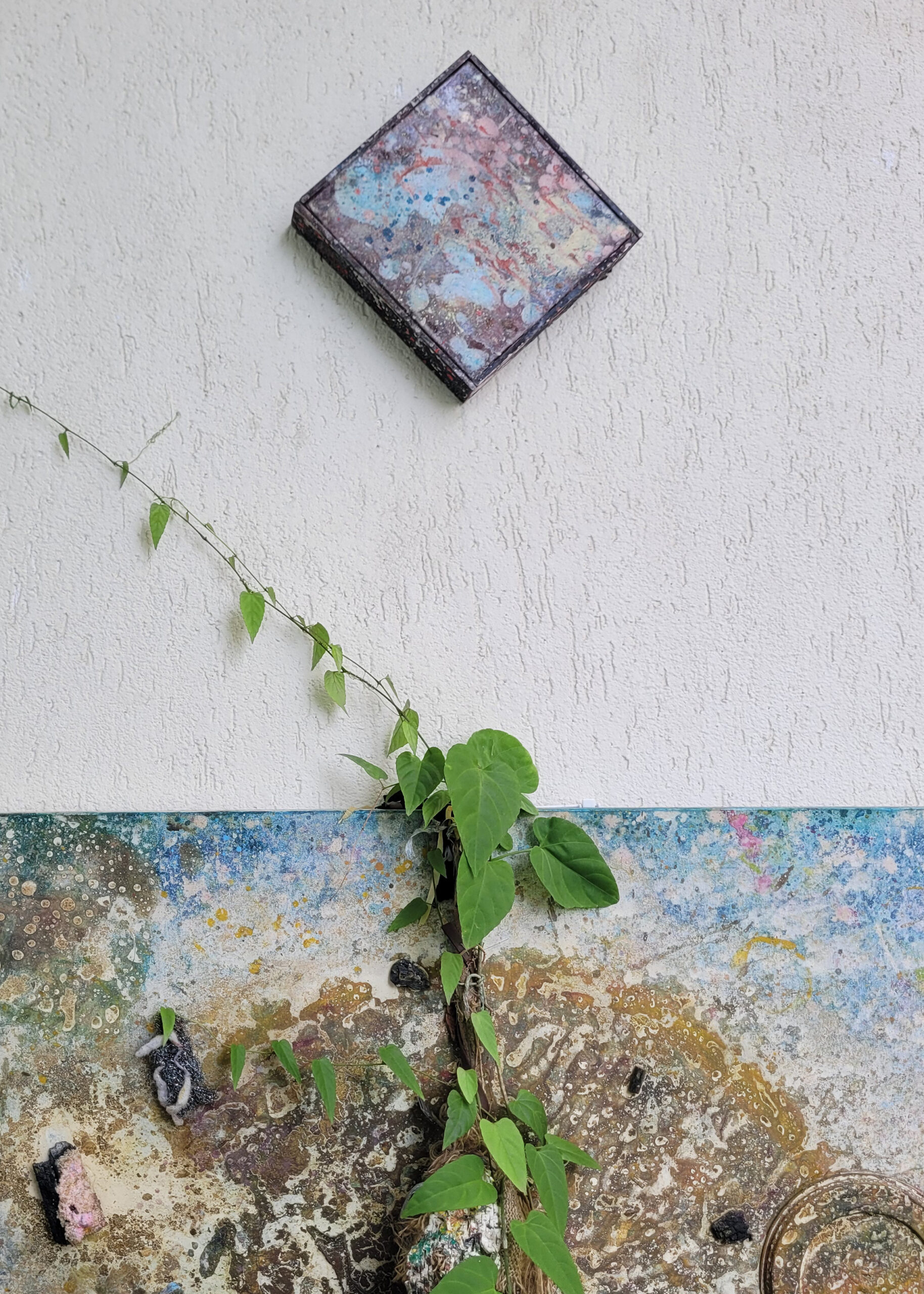 Growth assumes its own geometry