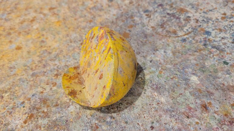 A Dobra Simbiótica e o Organismo da Pintura