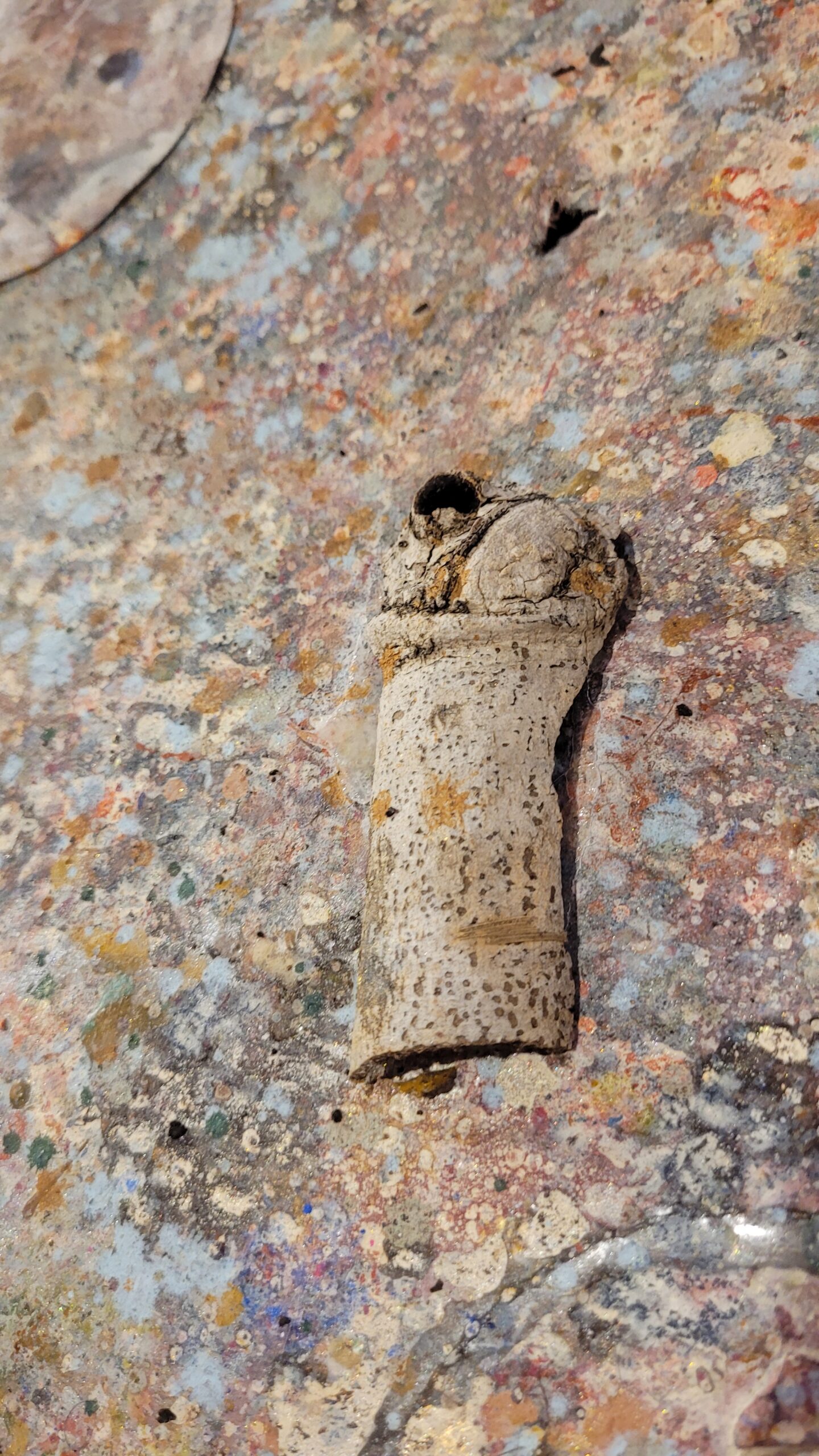 The Symbiotic Fold and the Organism of the Painting-Landfill