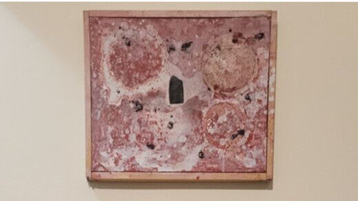 Origens, simbolismo, controvérsias e culto contemporâneo do Shiva Lingam